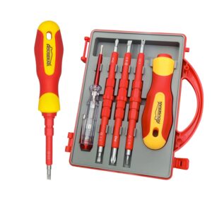 Insulated Screwdriver, HOUSERAN 5 Pcs Screwdriver Set, Electrician Tools Kit with Case, 1000V, Screw Driver with Interchangeable Blades, Electrical Screwdriver for Men Household Repair